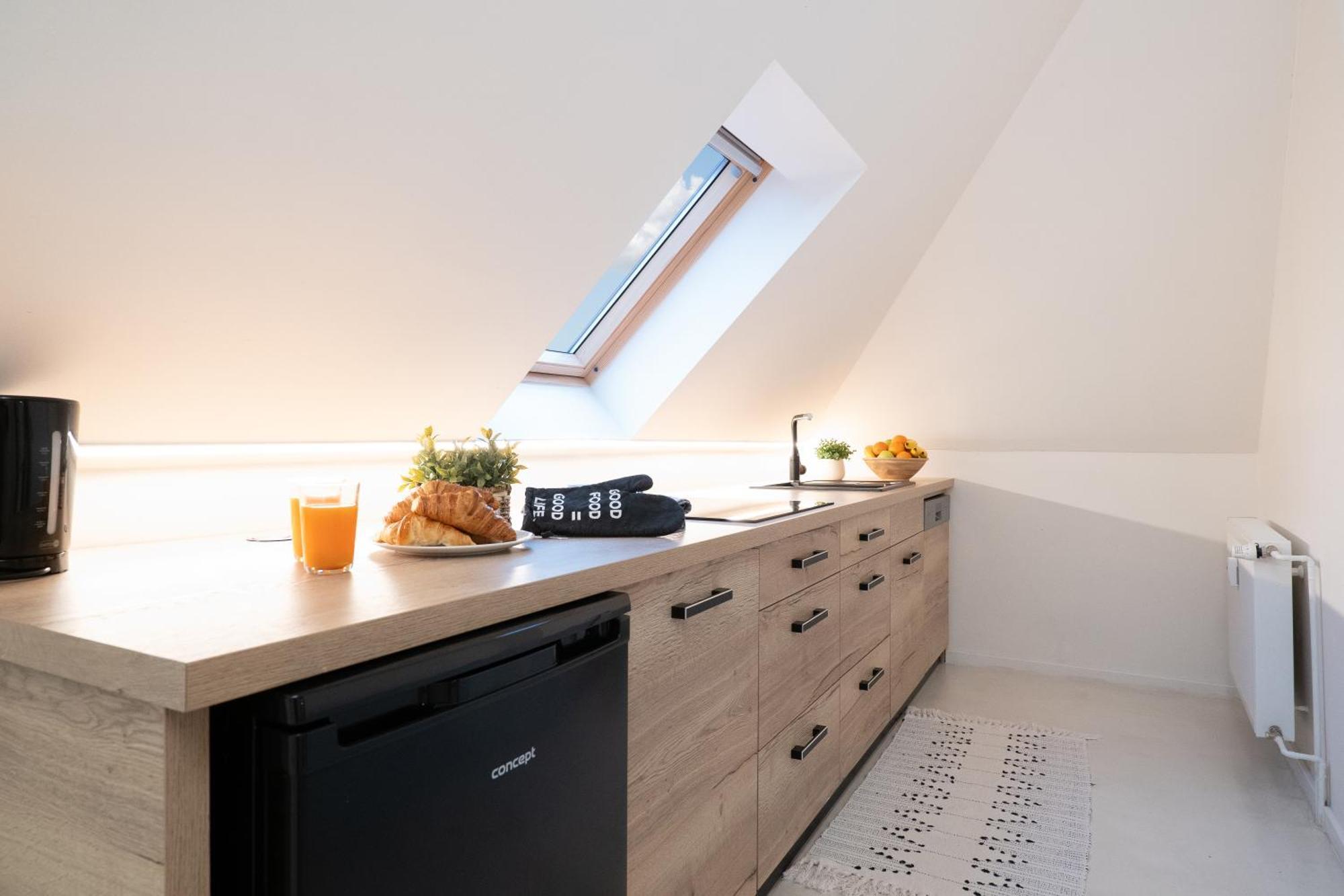 U Zlate Hvezdy, Karel IV Apartment Litomerice Exterior photo